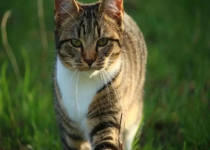 Luxurious Nearby The Lower Rhine * Maurik