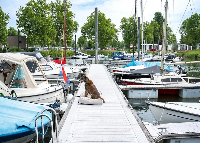 Luxurious Nearby The Lower Rhine Semesterbostad